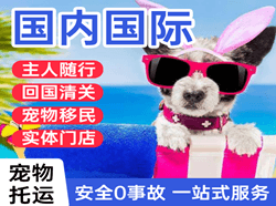 三沙永兴航空托运国际宠物托运 【国
